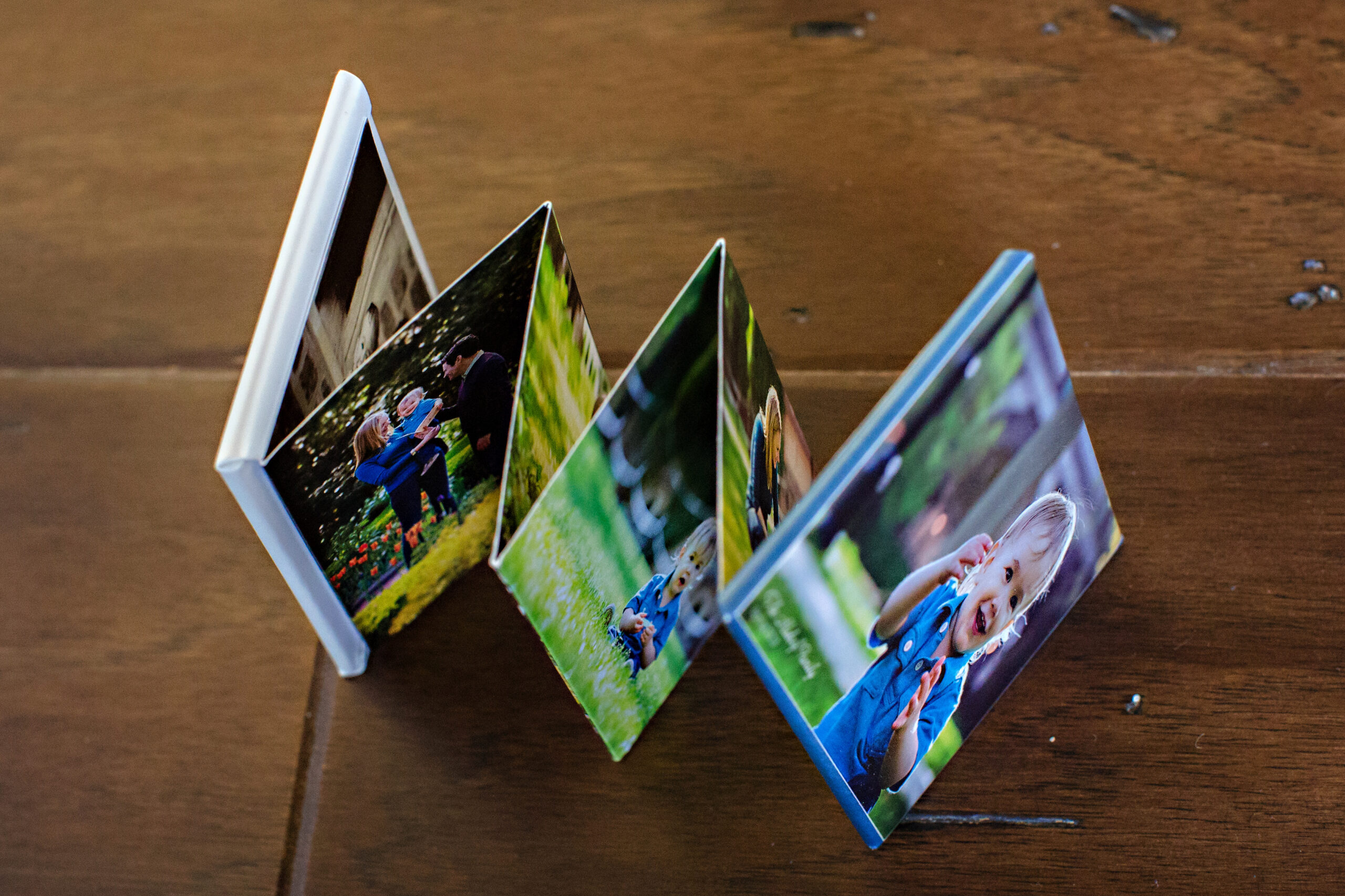 Photo of accordion book of family portraits with a young child